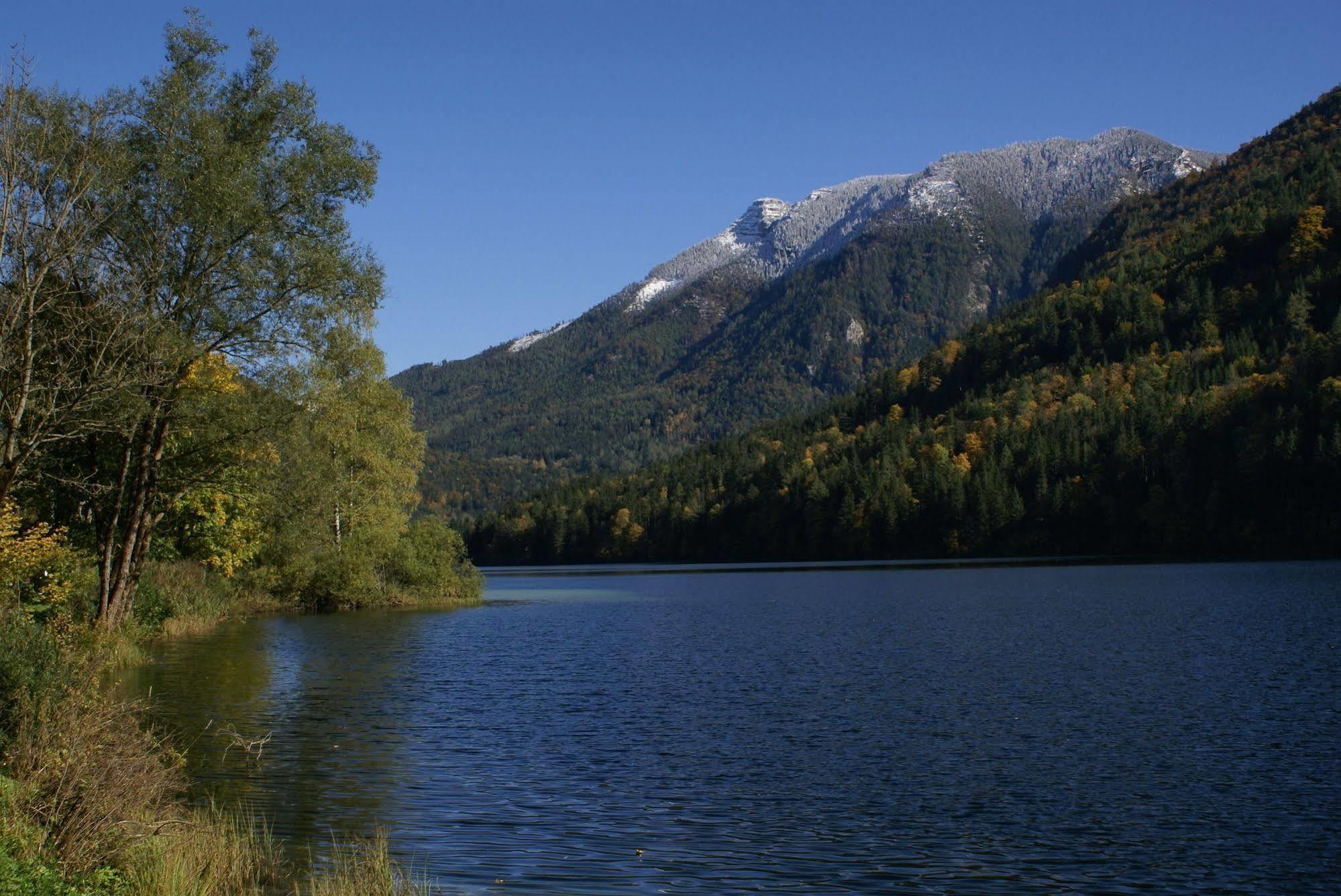 Landhotel Zellerhof Lunz am See Buitenkant foto